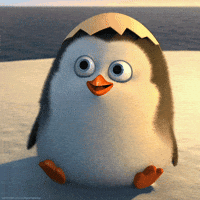 Yorum GIF'i